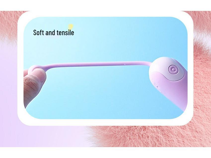 Lelala Love Egg: 10-Mode USB Rechargeable Internal Vibrator for Women