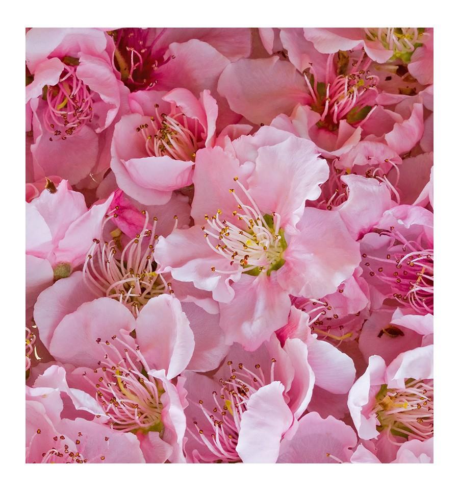 Yodeyma sexy Rosenwasser parfümiert für Frauen 100 ml