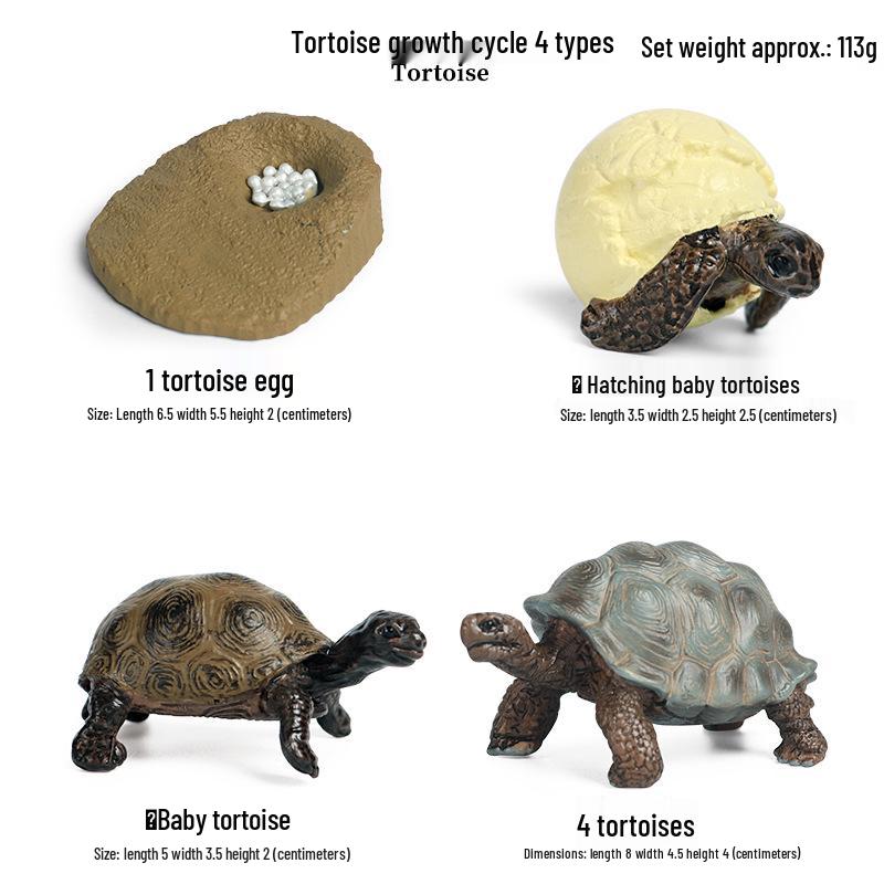 Children's Cognitive Marine Animal Models: Sea Turtle and Tortoise Toys