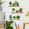 Painted Green Plants Potted Plants Shelves Bedroom Living Room Home Background Beautification Decorative Wall Stickers
