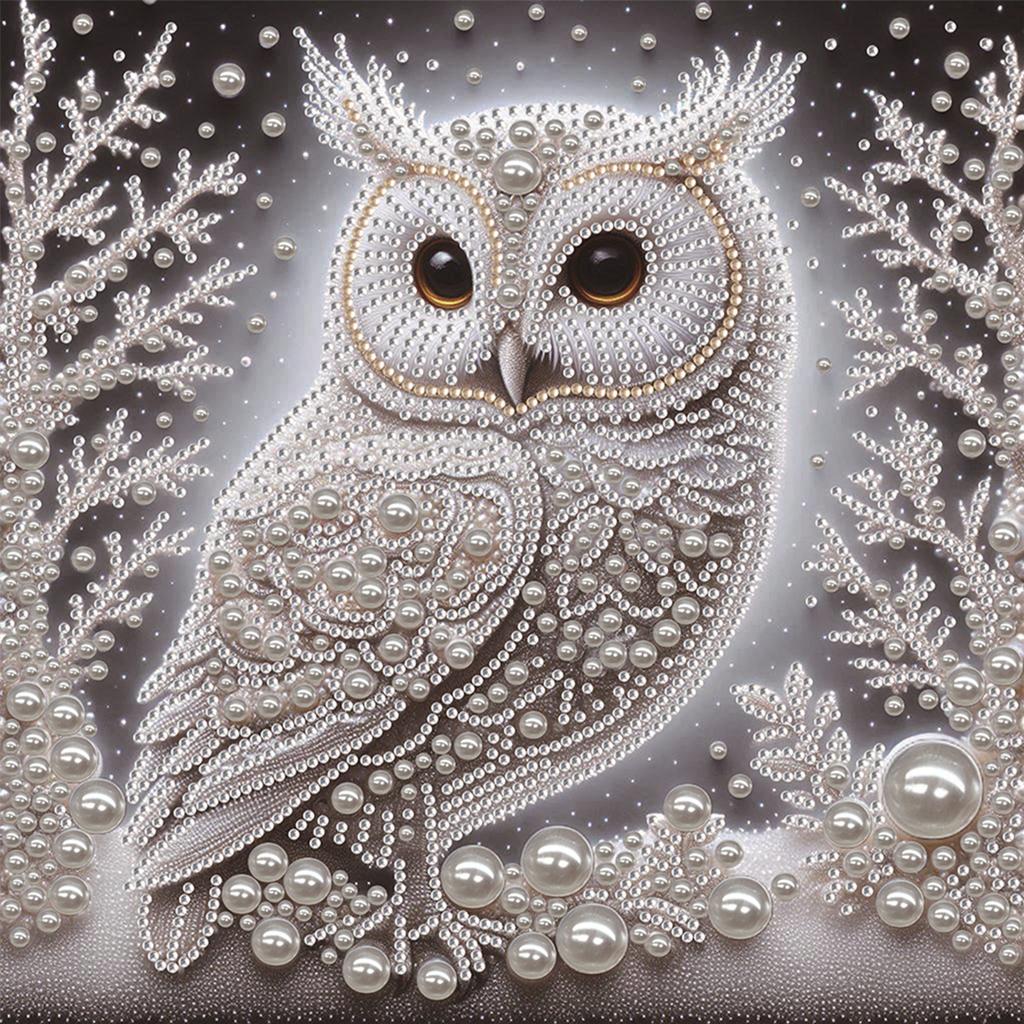 Owl Special Shaped 5D DIY Partial Drill Diamond Painting Kits for Adults DIY Gift Home Decor Diamonds Dots Gem Art Kits 30x30cm