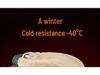 Women's Fleece-Lined Wide-Leg Pants - Autumn/Winter 2024 Lamb's Wool Straight-Leg Sportswear