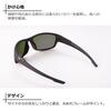 Daiwa Polarized Sunglasses Gray (DAIWA) DN-8423