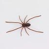 Funny Simulation Spider Toy Magnet Spider Prank Toys Spiders Decoration  Office Joke