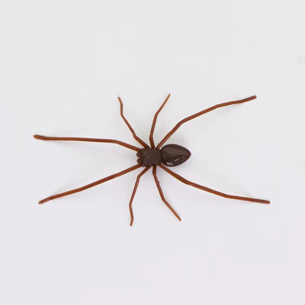Funny Simulation Spider Toy Magnet Spider Prank Toys Spiders Decoration  Office Joke