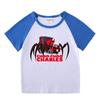 Kids' Summer Color Block Shorts & T-Shirt Set - Boys & Girls Casual Two-Piece Outfit
