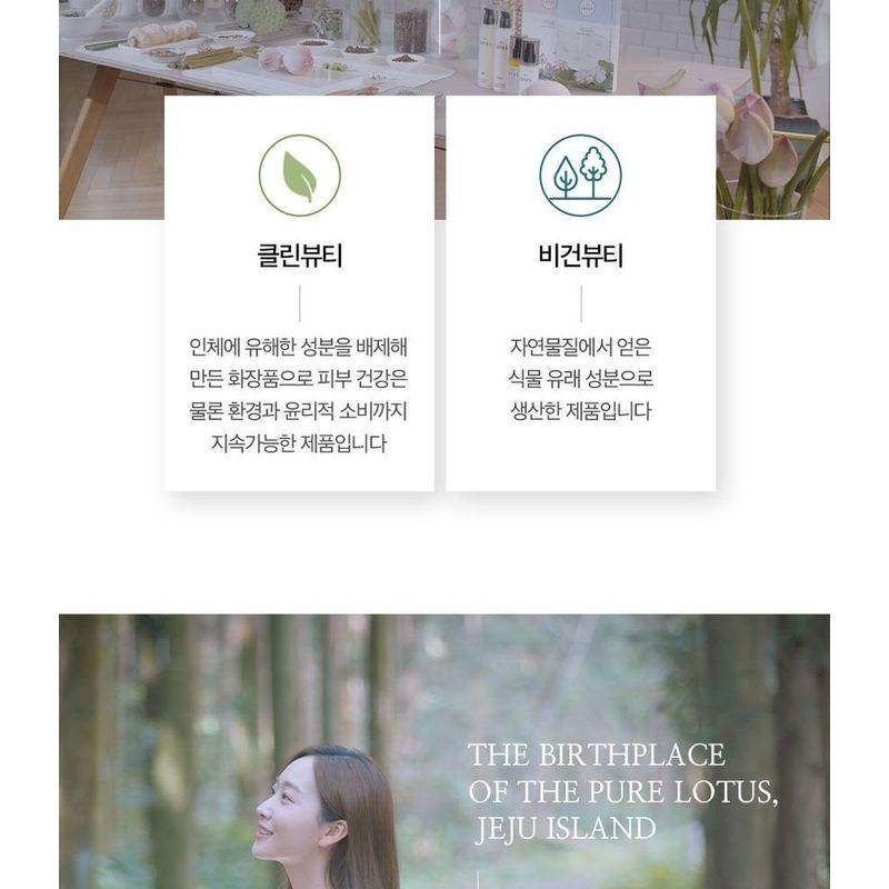 THE PURE LOTUS Rose Quartz Guasha