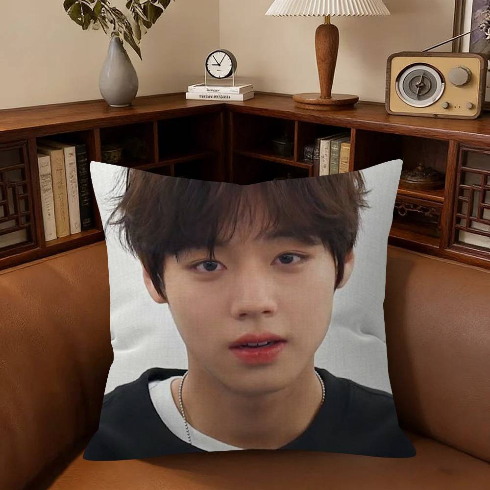 Korean Idol P-Park Ji-Hoon Cushion Cover Pillowcase Upholstery Sofa Throw Pillow Home Decor Pillowcas