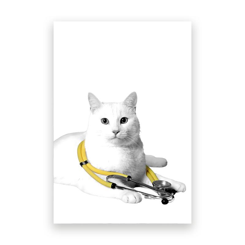 Pet Care Art Prints Black White Photography Posters Cat Dog Canvas Painting Animal Clinic Wall Pictures Veterinary Office Decor