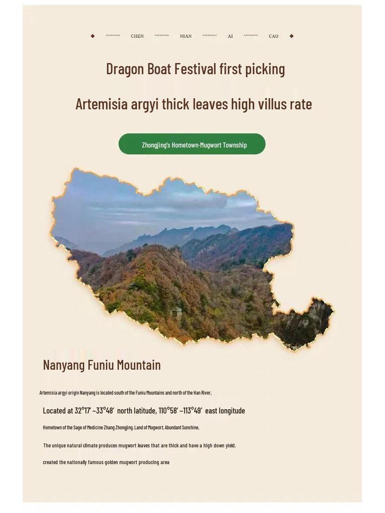 Mugwort Foot Soak Bags - Wild Pure Mugwort Blend (500g) for Relaxing Foot Bath