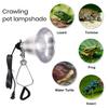 Lampă de căldură pentru reptile Lampă cu clemă de 300 W cu reflector din aluminiu Priză SUA Lampă de masă versatilă Lampă de căldură pentru terariu Lumină de creștere pentru interior