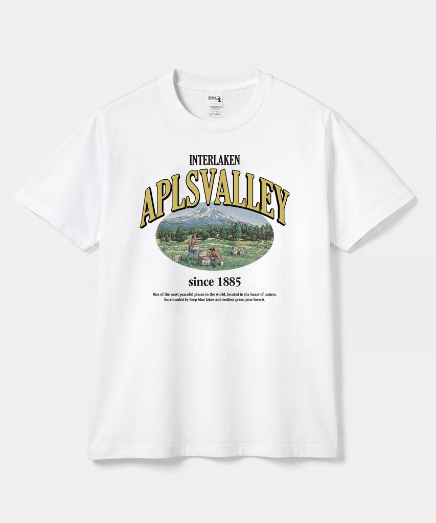 Gildan Gildan X Vintage Collection Aplsvalley T-Shirt
