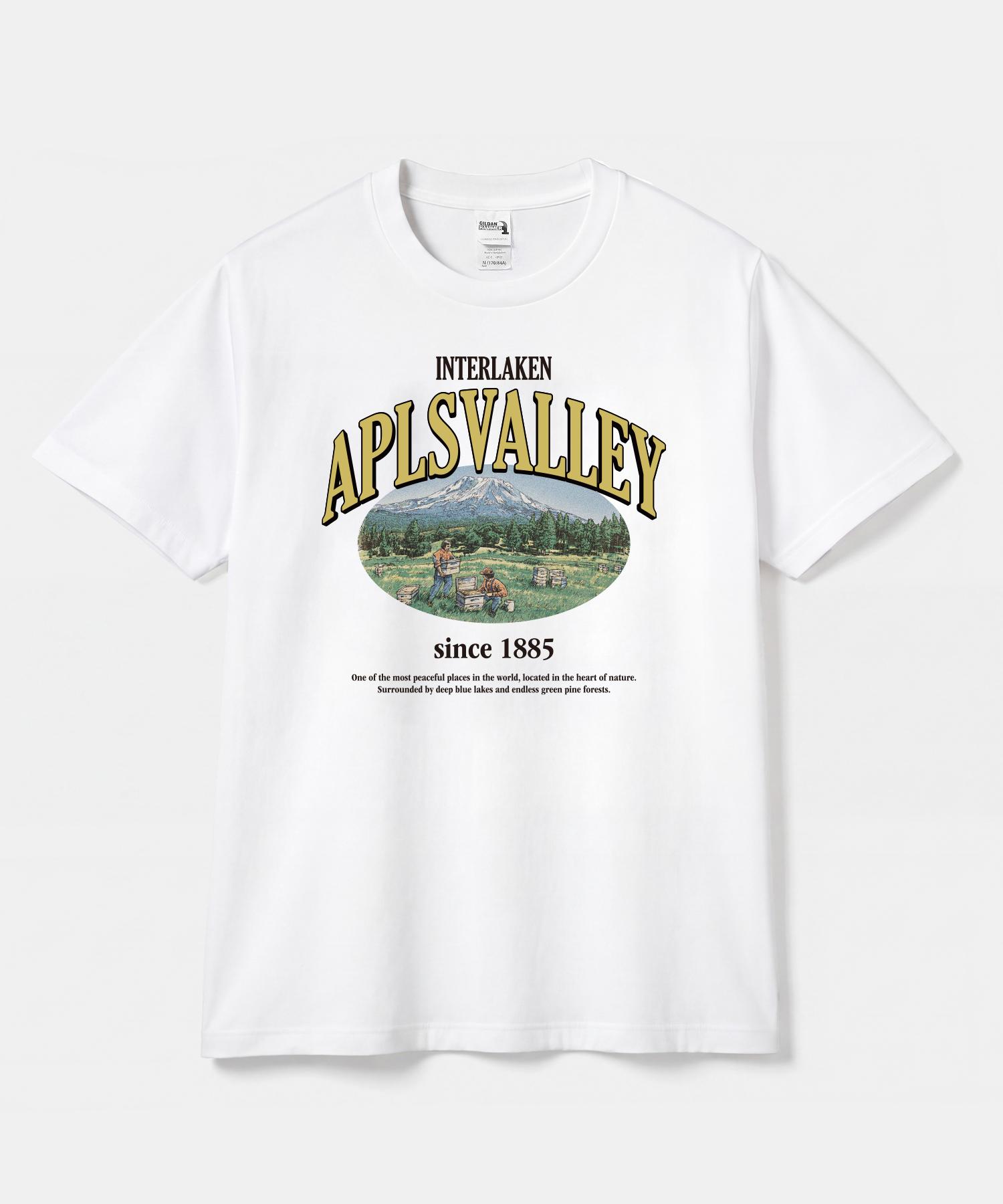 Gildan Gildan X Vintage Collection Aplsvalley T-Shirt White/M