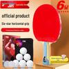Racket de Tenis de Mesa DHS 6 Estrellas