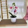Botanical Phalaenopsis Faux Fake Flower Props For Bridal Events And Party Decor