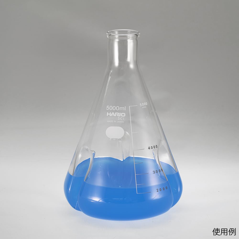 Hario Baffled Erlenmeyer Flask, 300mL, BSF-300-SCI