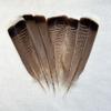 Natural Turkey Tail  Feather 10-30cm/10 4-12inch  For Headwear Clothing Hats Party Plumas Diy Carnival Wedding Decoration