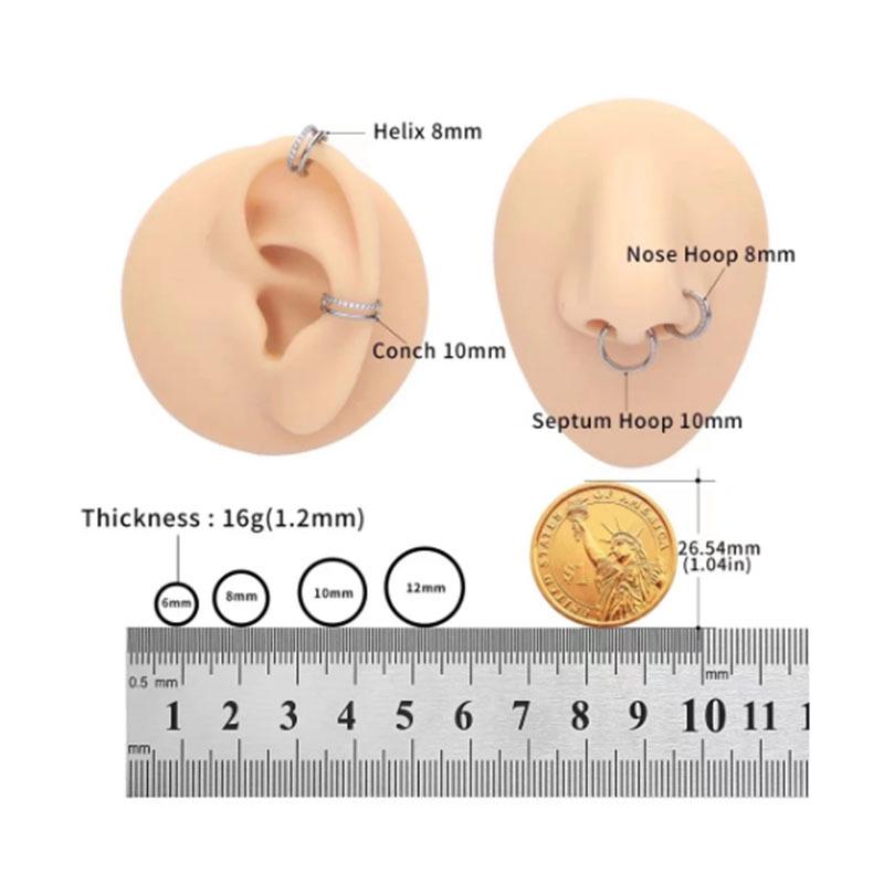 Nahtloser G23 Titan Zirkon Nasenring Ohrring Creolen