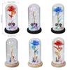LED Enchanted Galaxy Rose Eternal Beauty And The Beast Rose With Fairy Lights In Dome Christmas Valentine's Day Gifts for Women