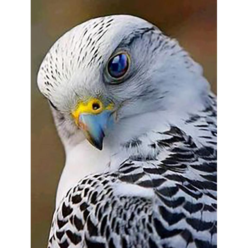 5D DIY Diamond Painting Animal Eagle Full Drill Cross Stitch Kits Round Round Mosaic Handmade Art Embroidery Home Decor Mural