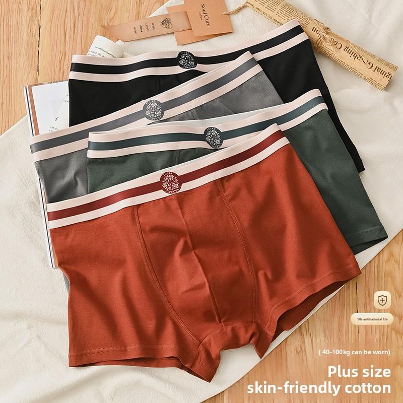 Plus Size Men's New Summer Cotton Anti Bacterial Breathable Sport Boxer Briefs