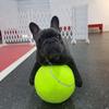 Dog Tennis Ball Giant Pet Toys for Dog Chewing Toy Signature Mega Jumbo Kids Ball Training Supplies Dropship Plush 2026