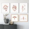Heart Stethoscope EKG Flower Medical Posters Prints Doctor Gift Wall Art Pictures Canvas Painting For Cardiologist Office Decor