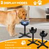 Adjustable Dog Bowl Stand Stable Elevated Dog Bowl Stand With Stainless Steel Bowl 2 Placement Modes Non Slip Tilted Pet Bowl