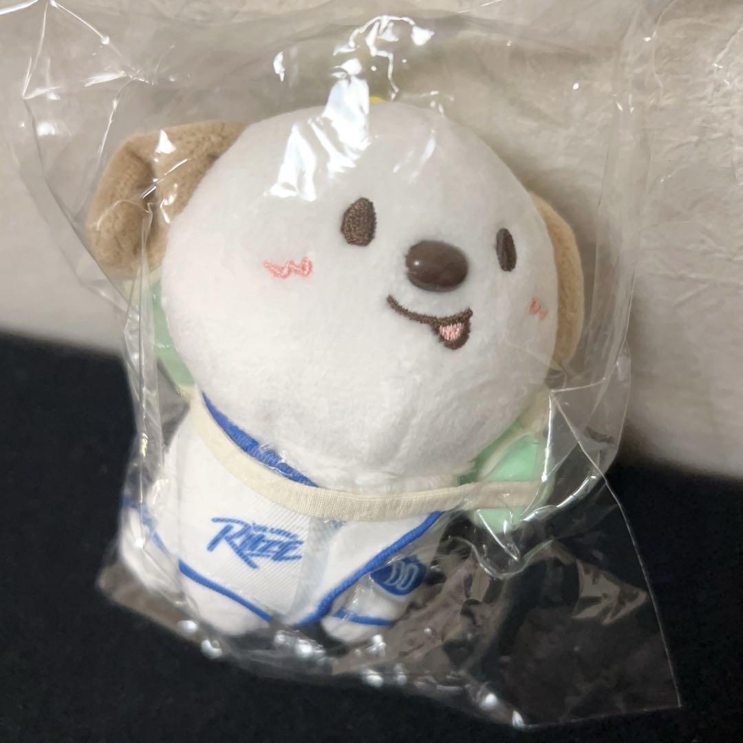 

[USED] Riize Park Pop-up Plush Toy 10cm Anton Mongryongi