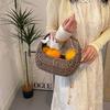 New trendy and cool personalized rattan commuter women's basket bag fashionable Xiaoxiangfeng portable small square bag