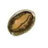 Simulated Seafood Props: Abalone, Oyster, Scallop, Sea Cucumber, Lobster, Crab with Garlic Vermicelli