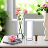 Hydroponic Plants Acrylic Cylinder Vase Shatterproof Tall Rustic Clear Vases  Home