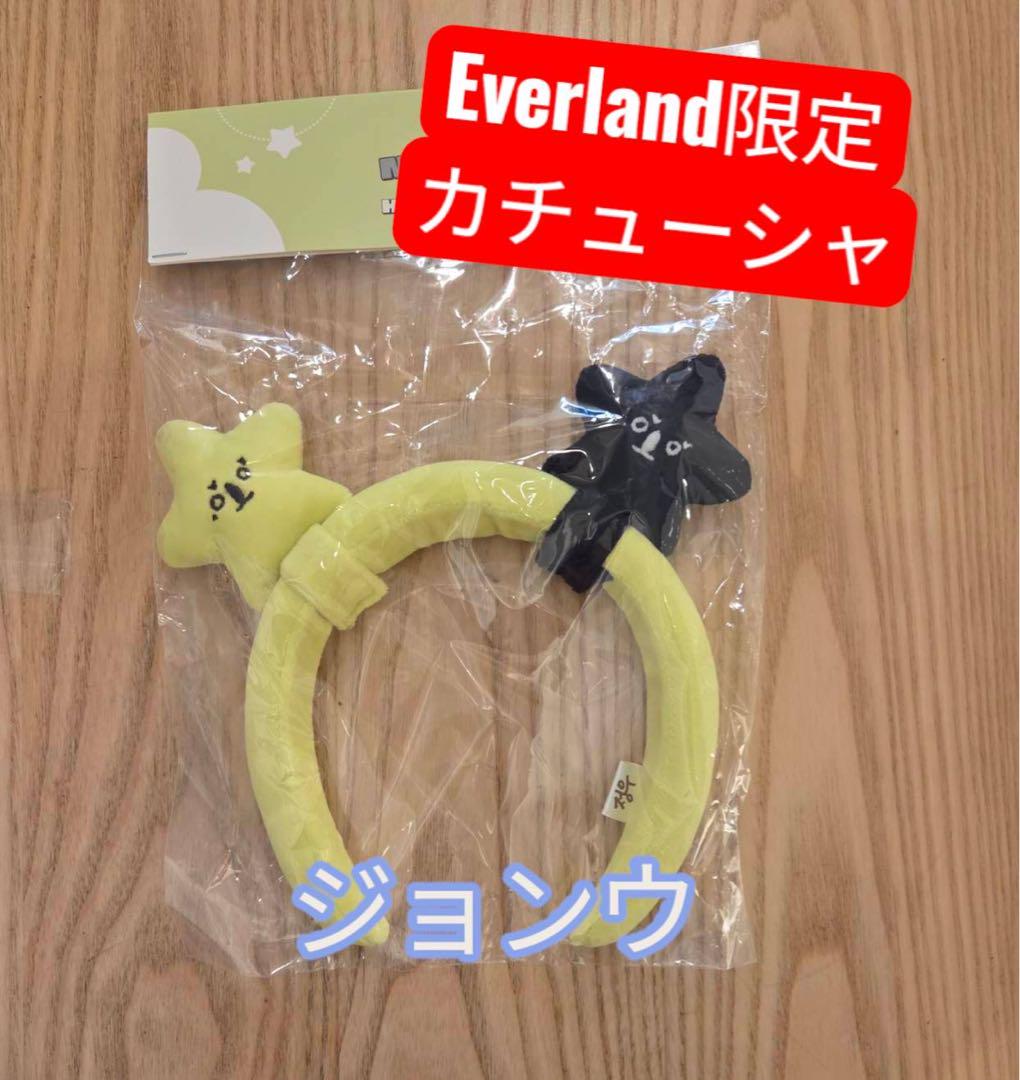

[USED] NCT127 Everland Limited Edition Headband Jungwoo