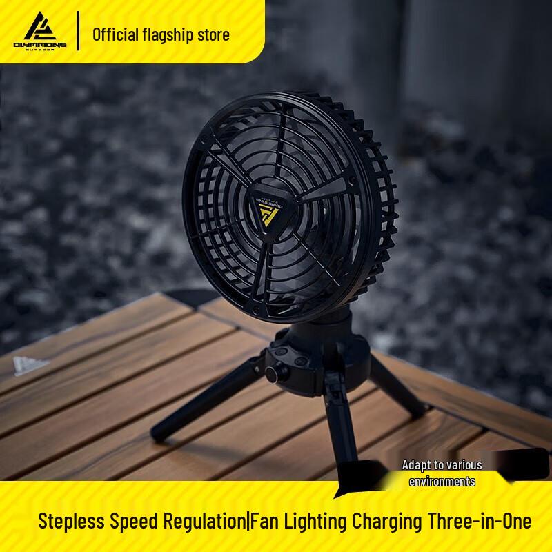 Rechargeable Camping Fan with LED Light