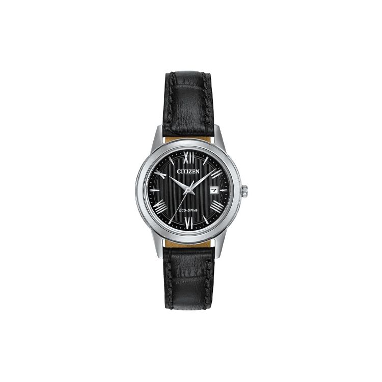 Citizen Eco-Drive Series Fashion Minimalist Waterproof Quartz Watch Women watches Black FE1081-08E Black Dial