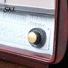 Mini Vintage Radio Ornament Model Desk Ornament, Retro Home Decoration Toy, Miniature Old Distressed Finish for Living Room Office Decor Wooden