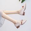 6125-1 Huidong County Daling Shoes Female Thick Heel Fairy Wind Middle Heel Spring Shoes Mary Jane Women's Shoes Single Shoes