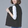 Spring Autumn Versatile Thin Jacket Women's New Korean Style Jacket Casual Vest