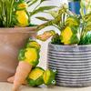 4pcs Self-Watering Terracotta Frog Planter for Indoor Outdoor Plant Reservoir