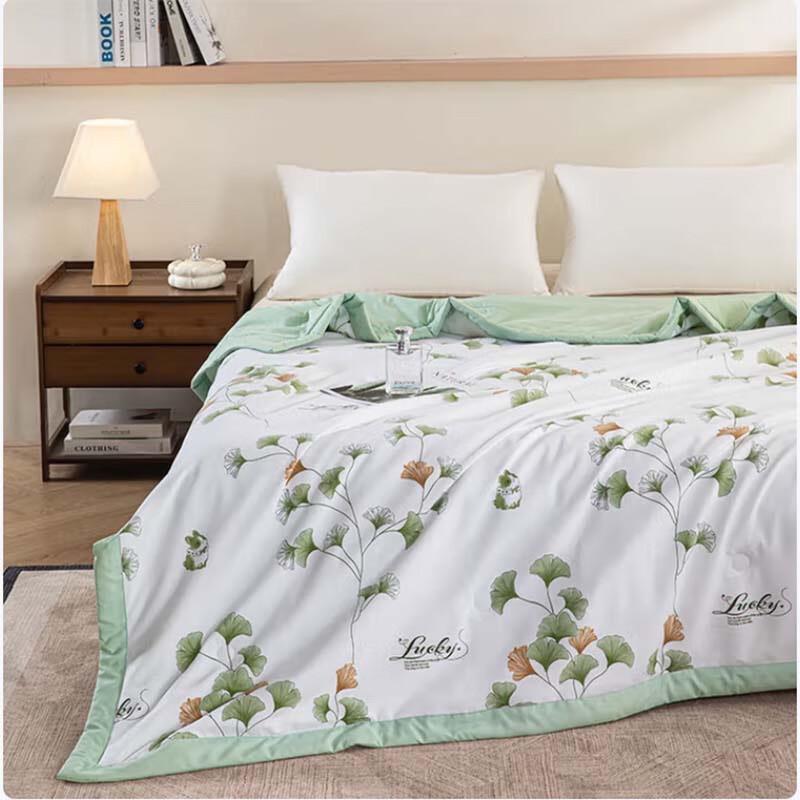 Baili Anna Soybean Fiber Quilt