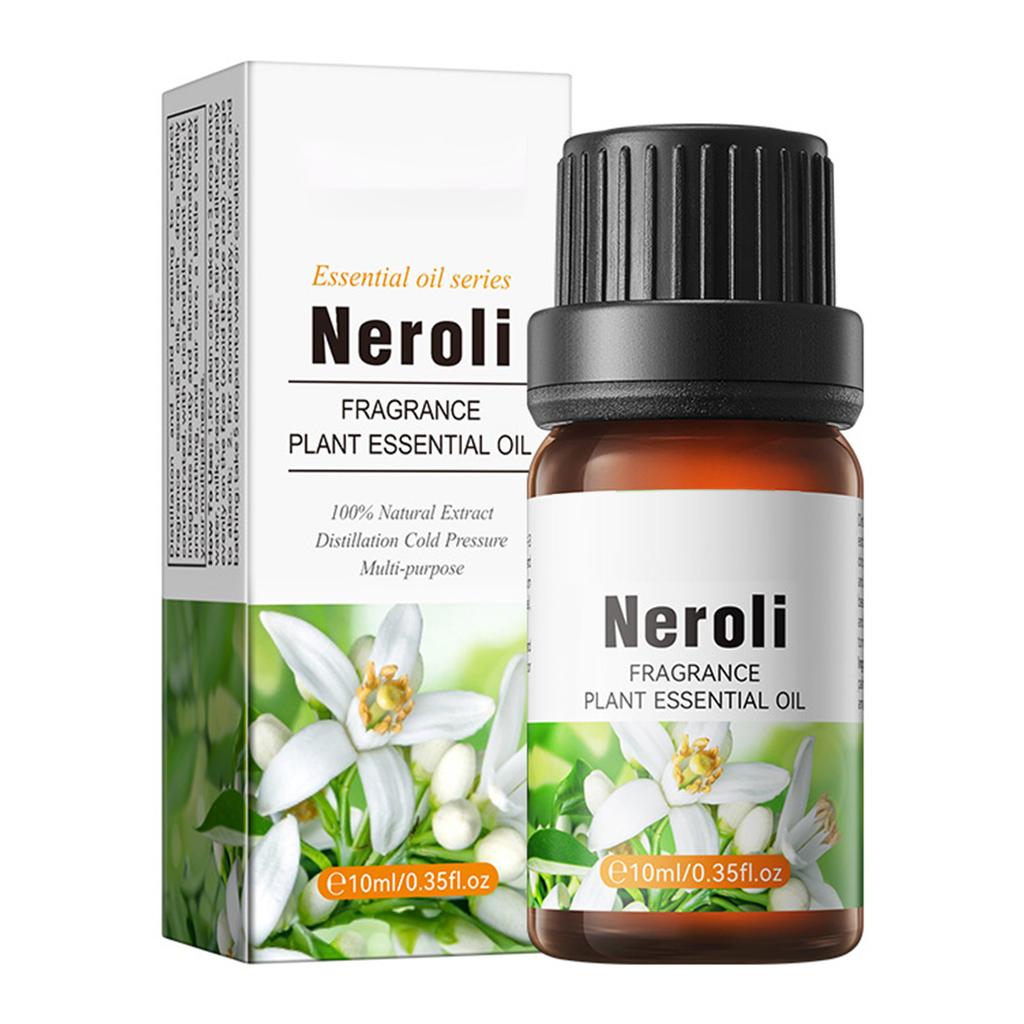 Body Scent Essence Oil, 10ml Moisturizing Care for All Skin Types, Daily Use Fragrance for Women Men, Luxurious Feel
