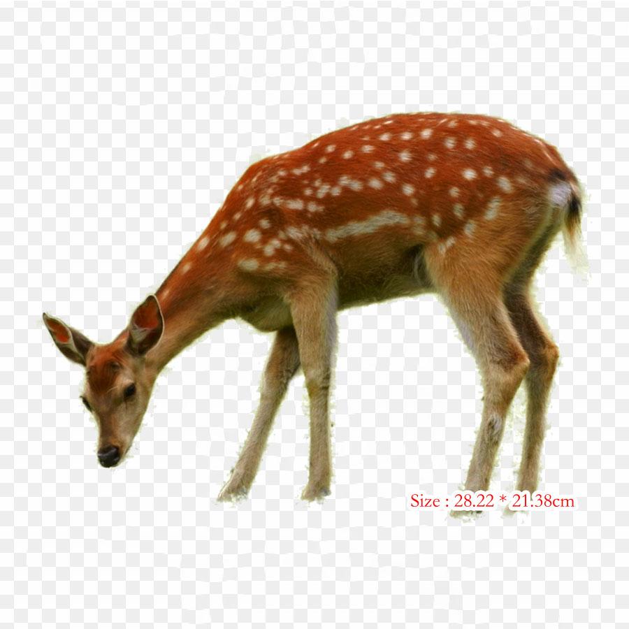 

Очаровательный олень, термопереносная печать, виниловые нашивки, наклейки для одежды, аппликации «сделай сам», моющиеся нашивки