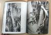 [USED] Masters of Japanese Painting: From Modern To Contemporary Masters of Japanese Painting Exhibition Catalogue