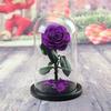 Eternal Flower Glass Cover Little Prince Rose Valentine's Day Gift Premium Finished Gift Box