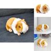 Lifelike Orange Guinea Pig Plush Toy For Children's Collection Gifts