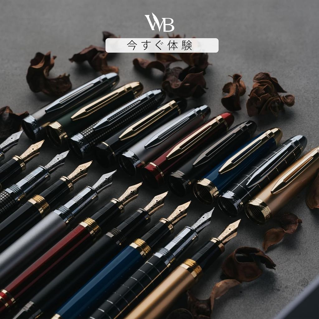 Wordsworth Black Majesti Fountain Pen Set Fine F Check Chrome Fine Nib