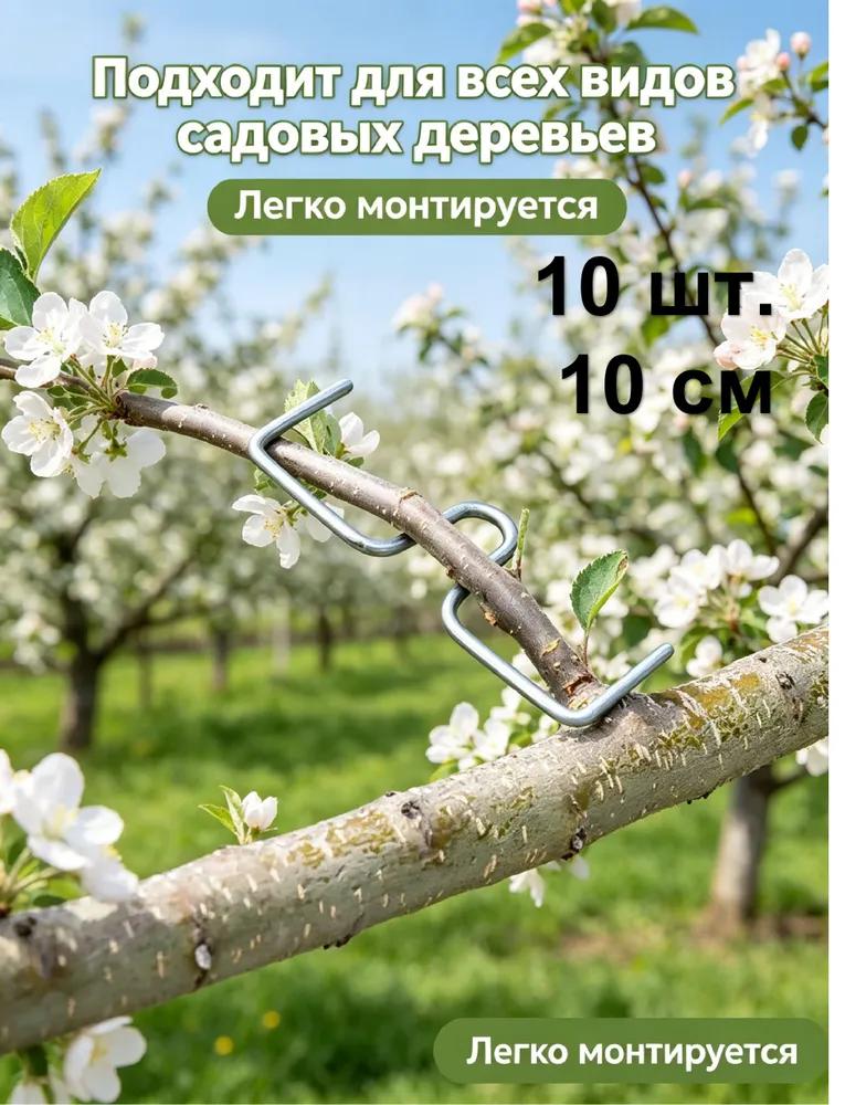 Plant support 40 cm x 3 cm 10 pcs