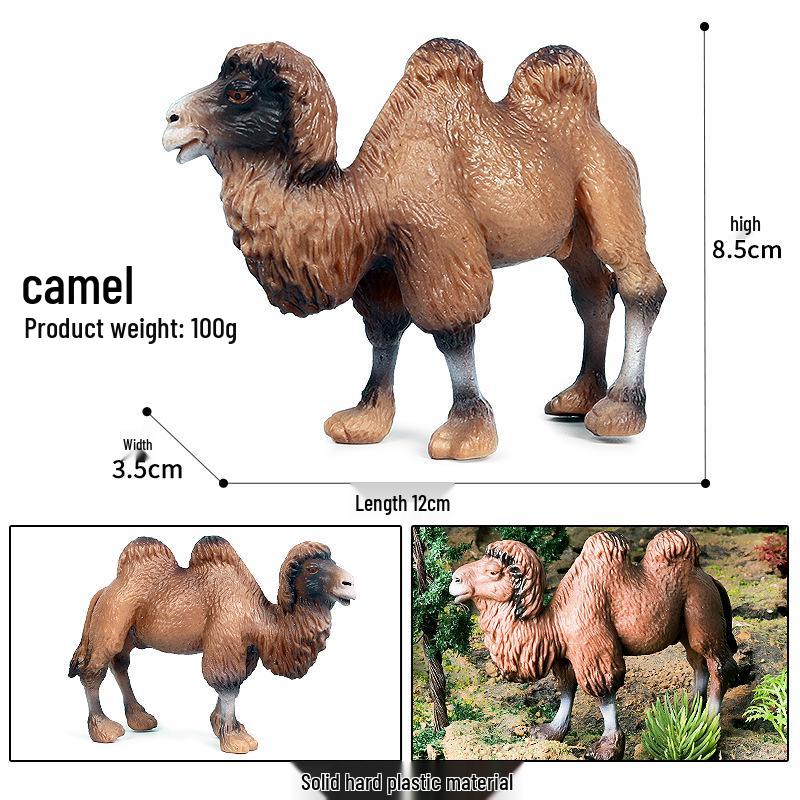 Solid Camel Model Toy - Dromedary & Bactrian for Children s Educational Play