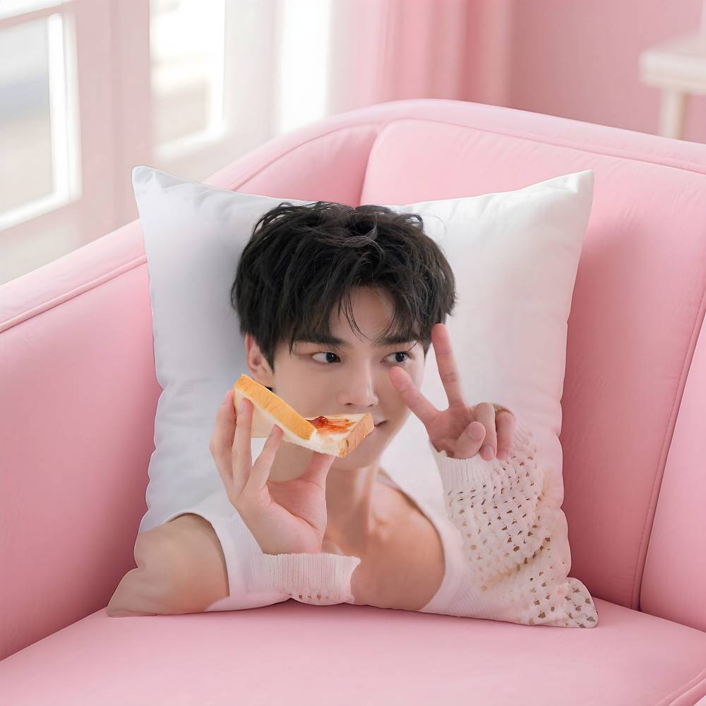 Kpop Style Actor Hot S-Song Kang Pillow Case Anti-Dustmite Pillowcase Invisible Zipper Silky Short Plush Sofa Cushion Cover