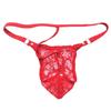 Men's Mini Bow Lace See Through Thong Floral Sissy Pouch Lingerie Underwear